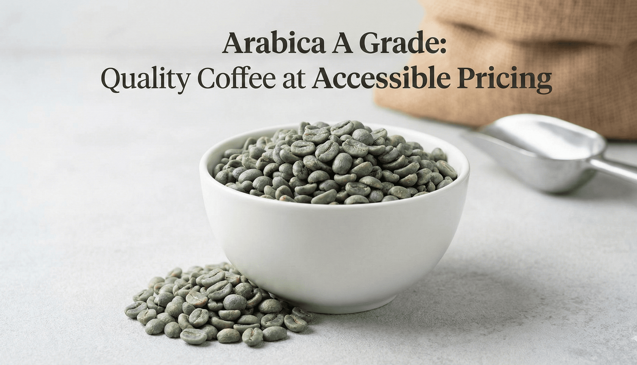 Arabica A Grade (Green Beans) - Indian Coffee Export | VB Exports